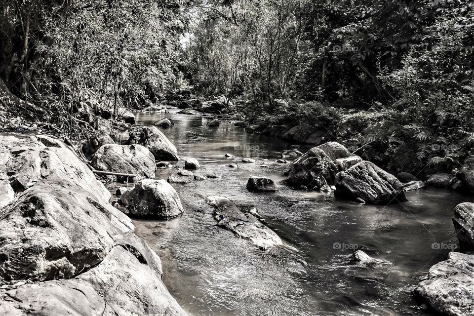 Beautiful stream with rocks and vegetation.