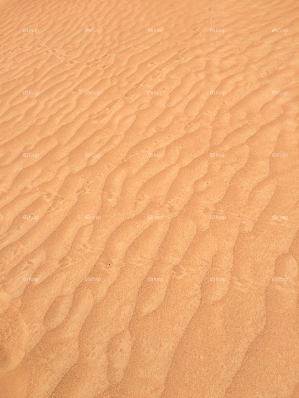 Full frame shot sand dunes at desert