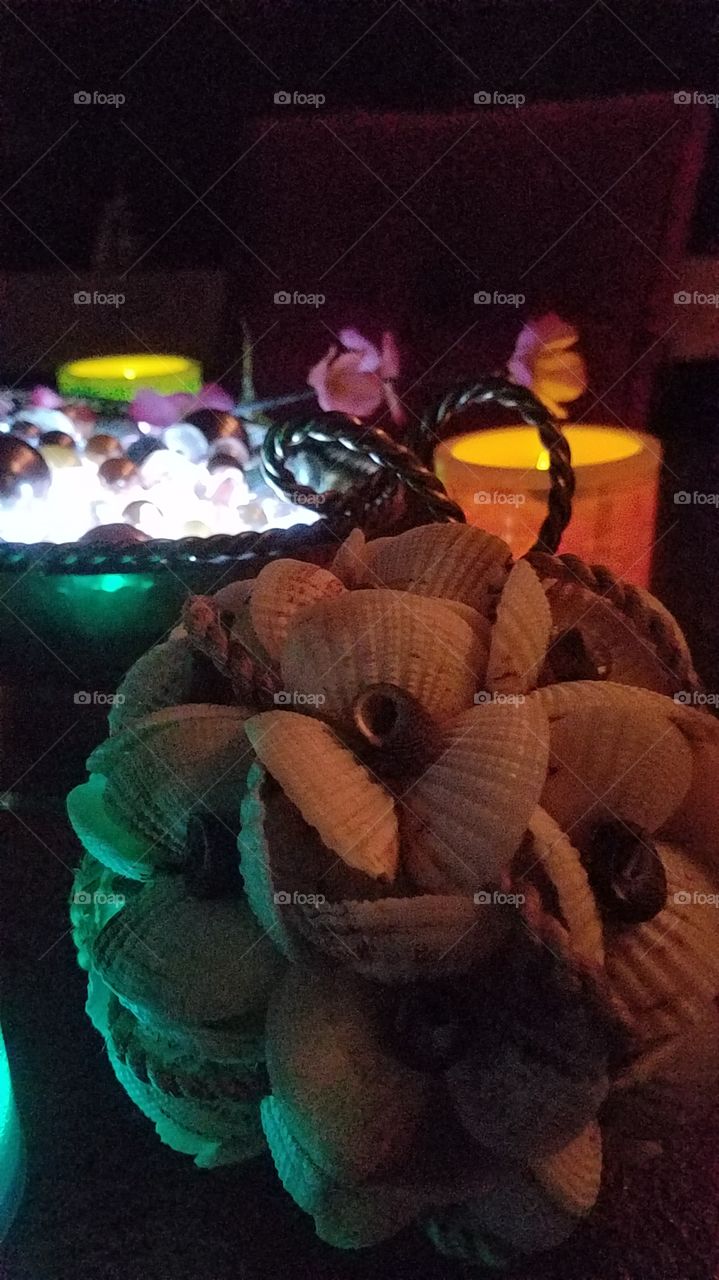 shells and lights