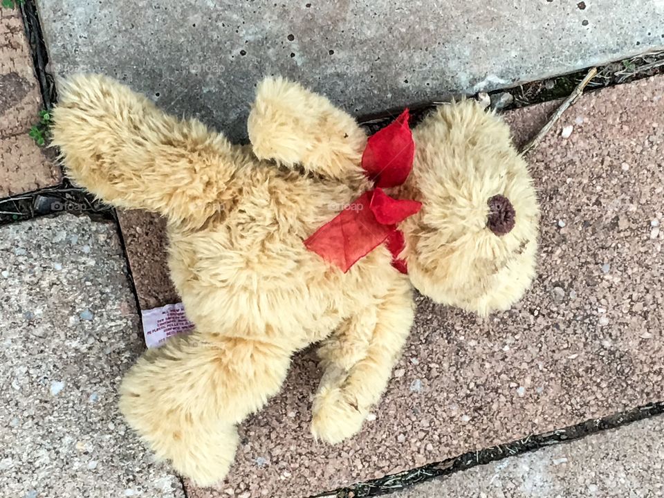 Abandoned teddy bear