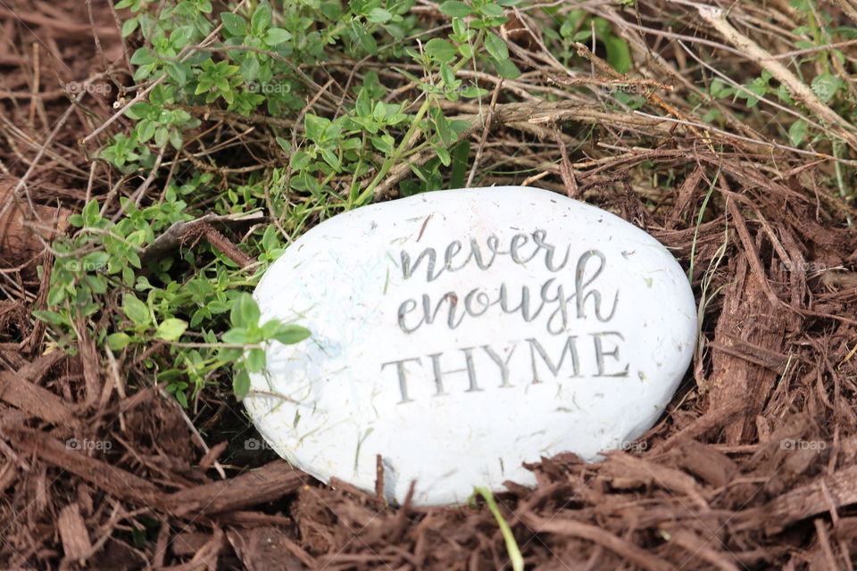 Never enough thyme 