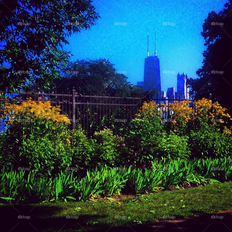 Chicago  Skyline 