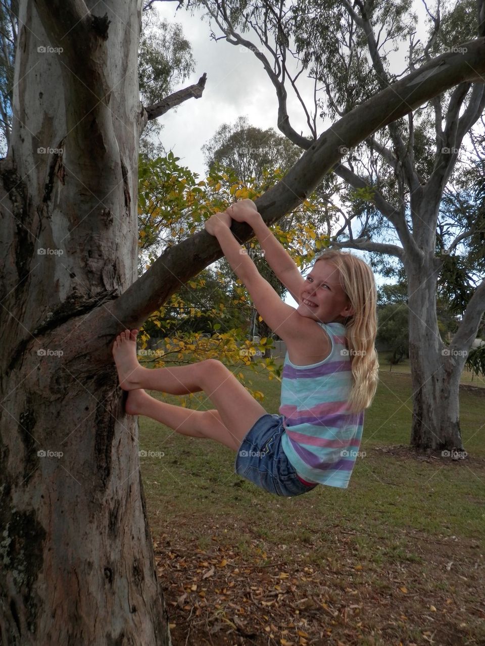 Climbing Trees