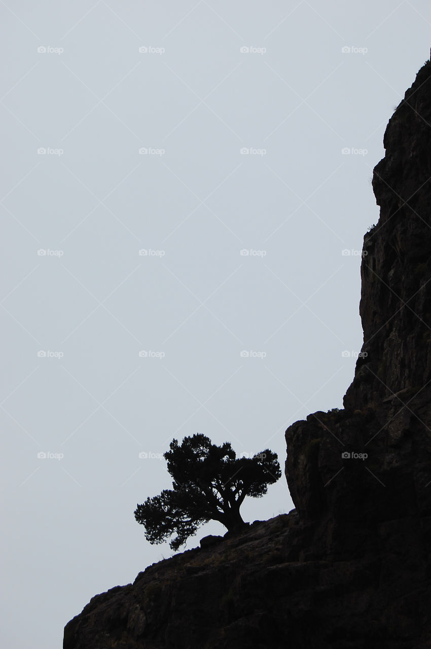 There was a tree . just a shadow in the mountains