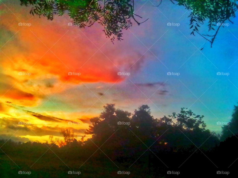 sun light reflected in evening sky