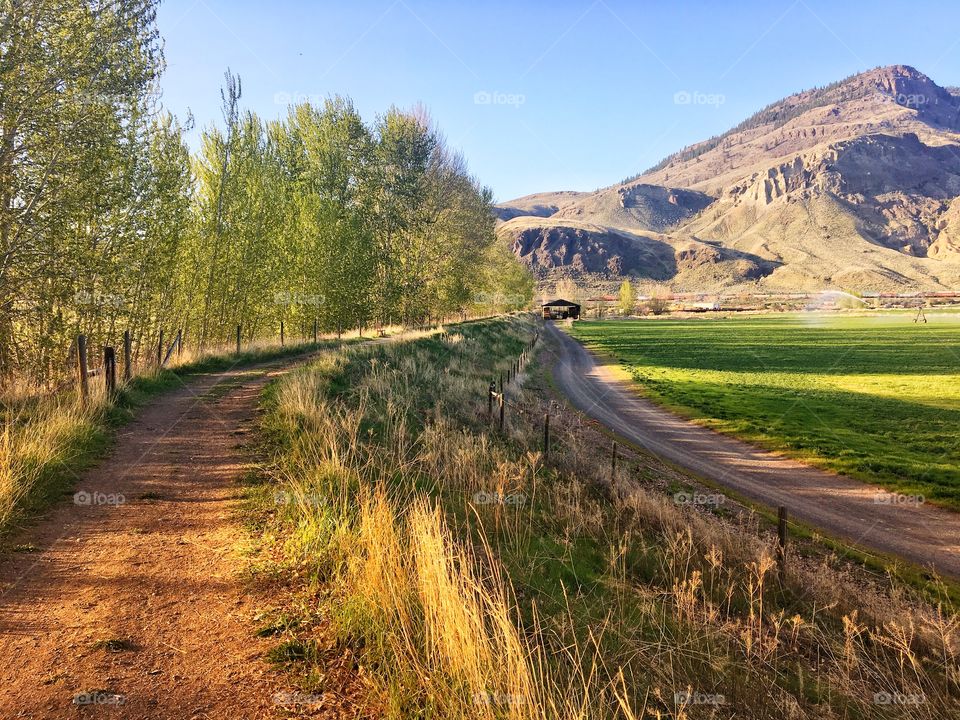 Beautiful sunny hike 