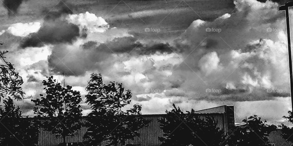 black and white of big puffy clouds and trees blowing in the wind