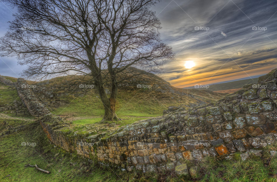 UK Hadrian wall covered moss and featuredd by face sunset flare