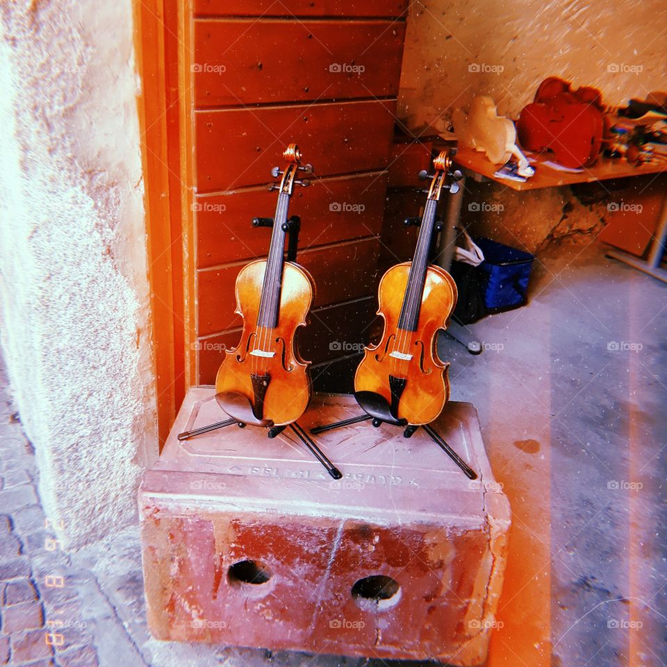 Violins.