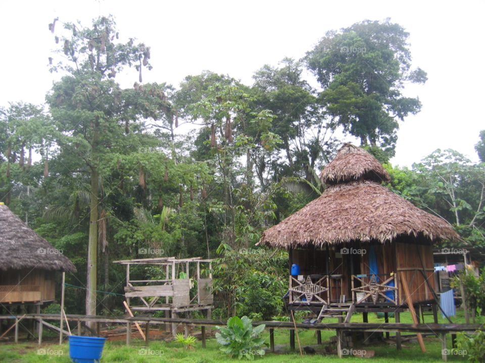 jungle shelter cabana by izabela.cib