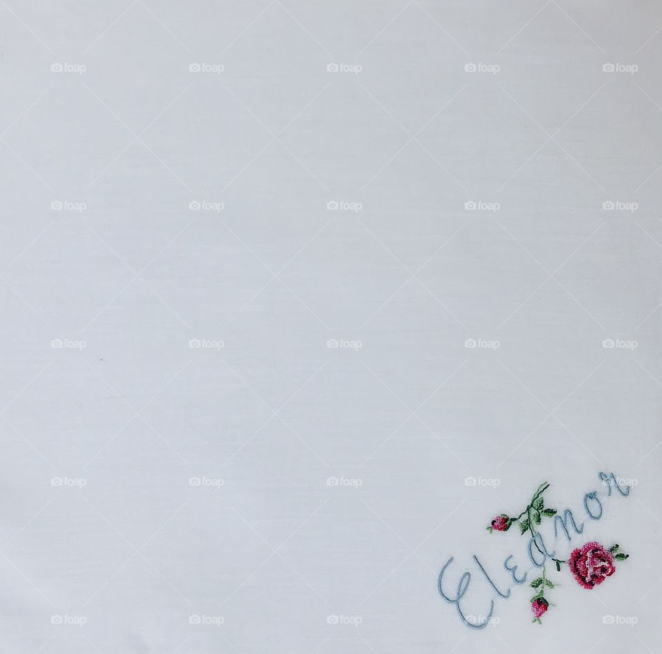 Eleanor embroidered with large empty white background space for inserting text photos stationery