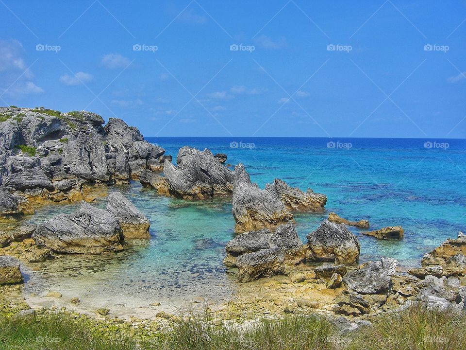 Beautiful Bermuda 
