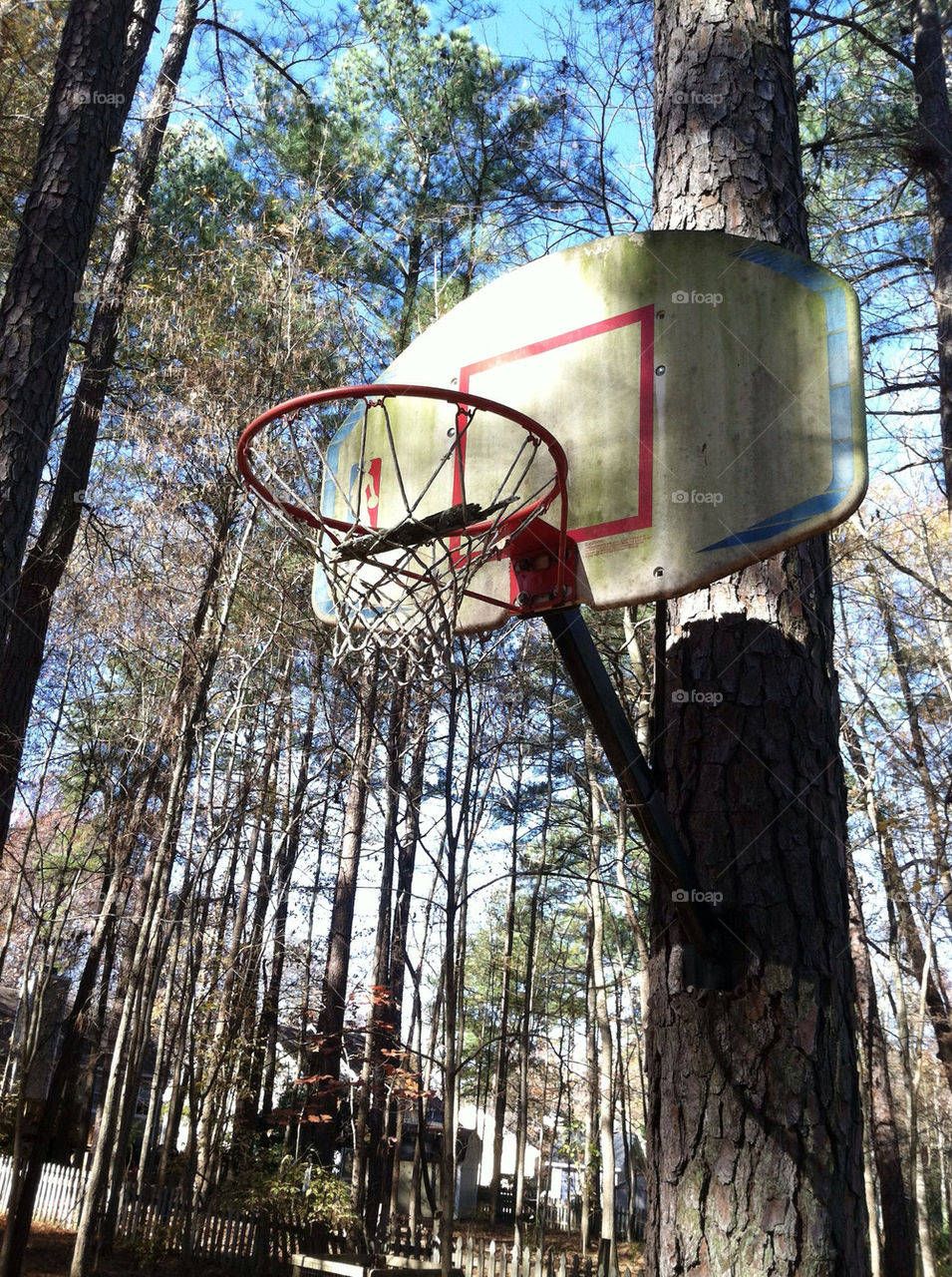 sky woods basketball hoops by wmm1969