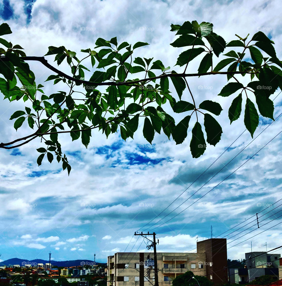 Um céu com nuvens, mas com algum azul, pinta o infinito horizonte em Bragança Paulista.
A beleza da 4ª feira independe de sol ou chuva. Esse retrato é prova disso…