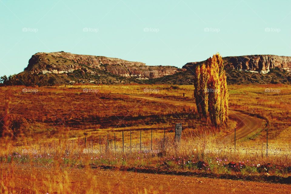 changing season - autumn