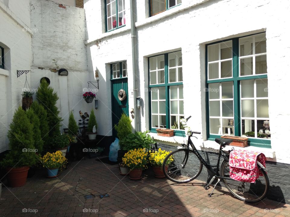 Flower pots outside building