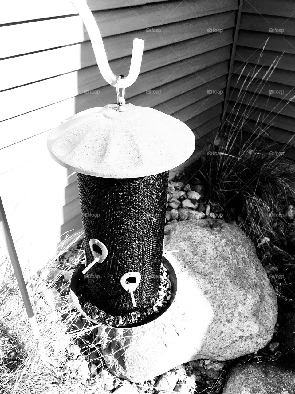 Gorgeous sites seen out for morning walk while trying to take in what nature all has to offer! 