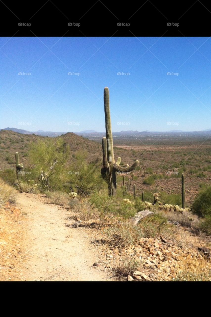 Hiking, Az. Cactus, desert