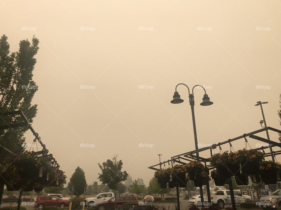 Smoke from fires turn sky sepia, just thought I’d share this one (no filters)
