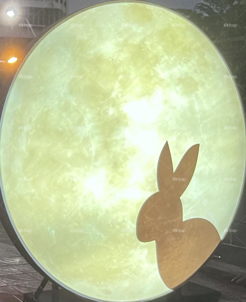Rabbit in the moon