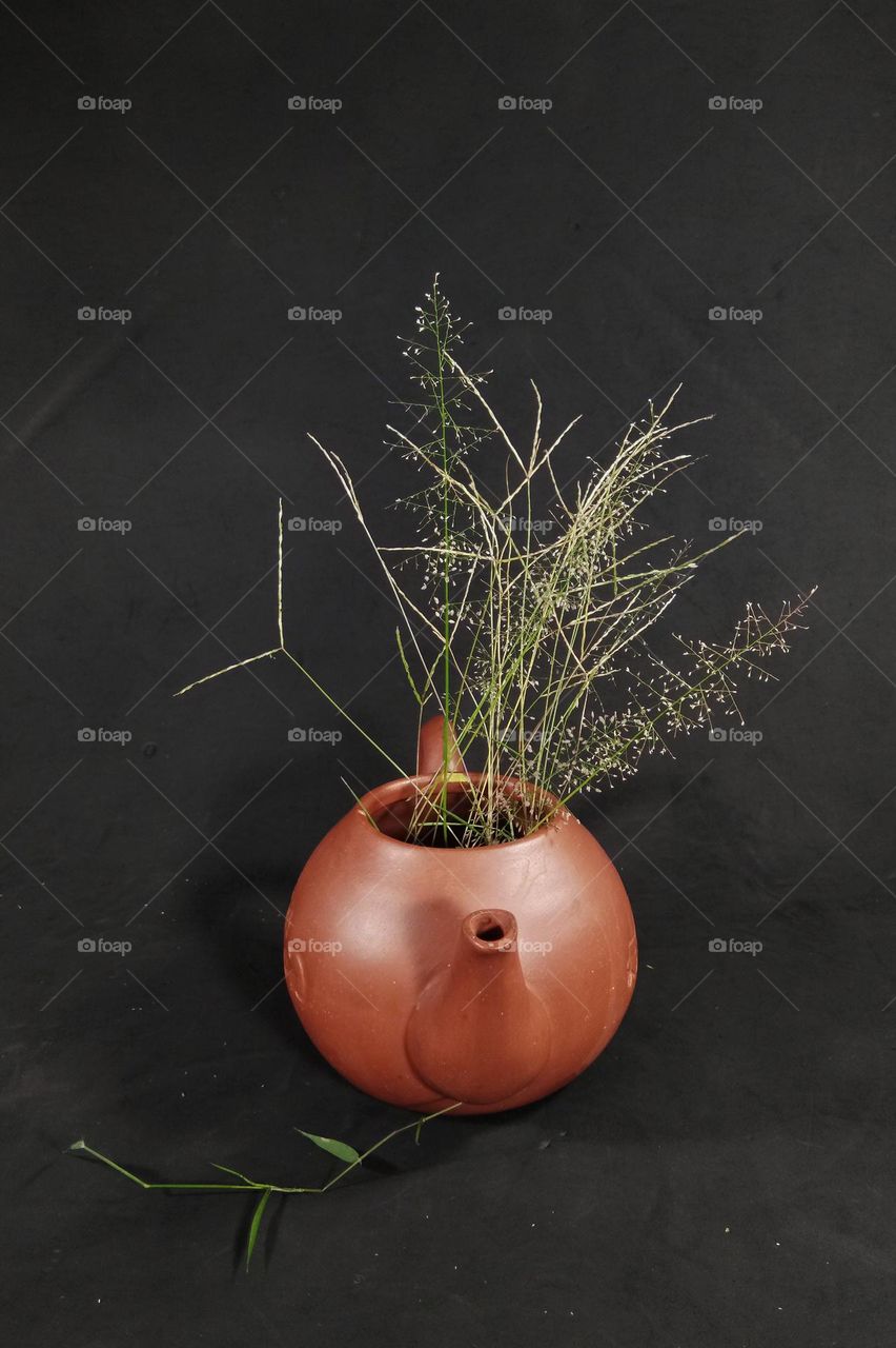 flowers in the clay vase