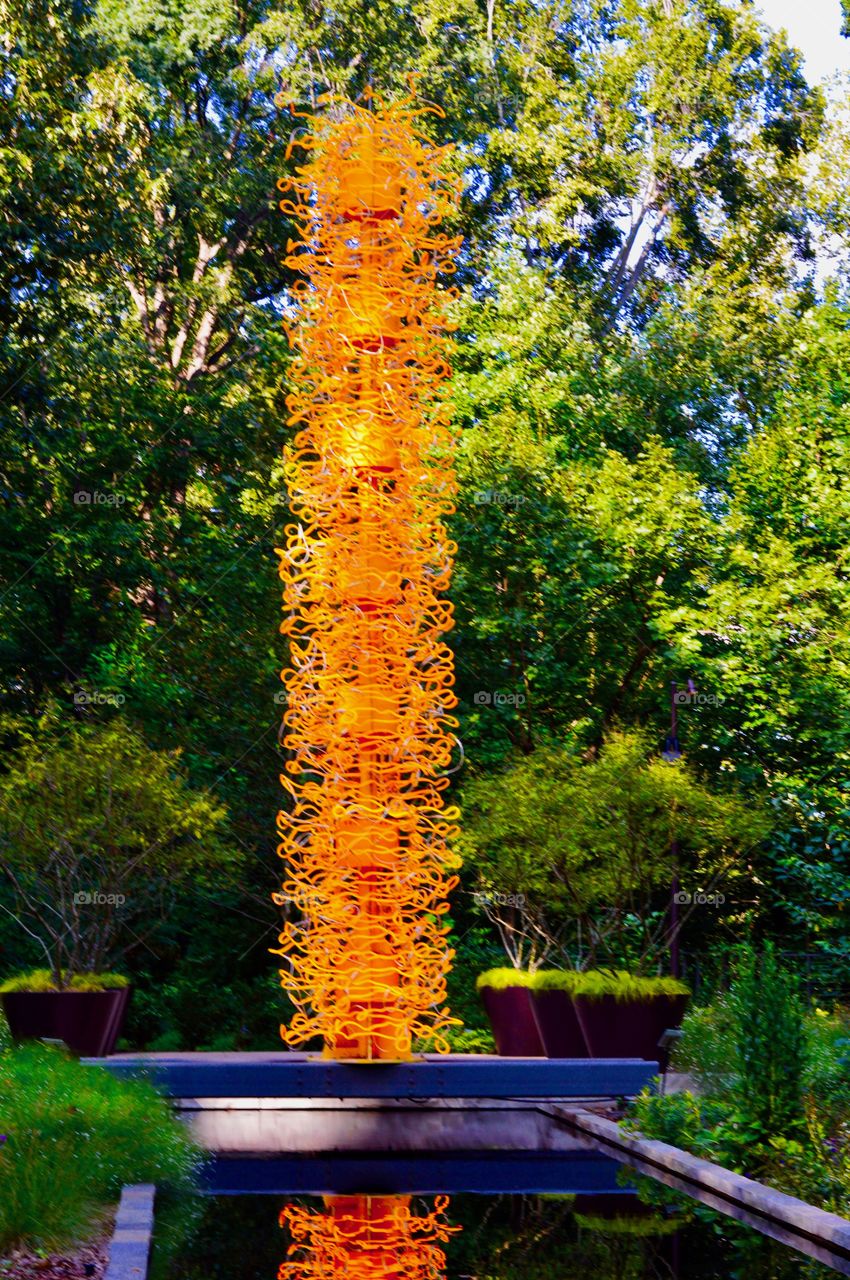 Atlanta Botanical Garden "The Curious Garden"