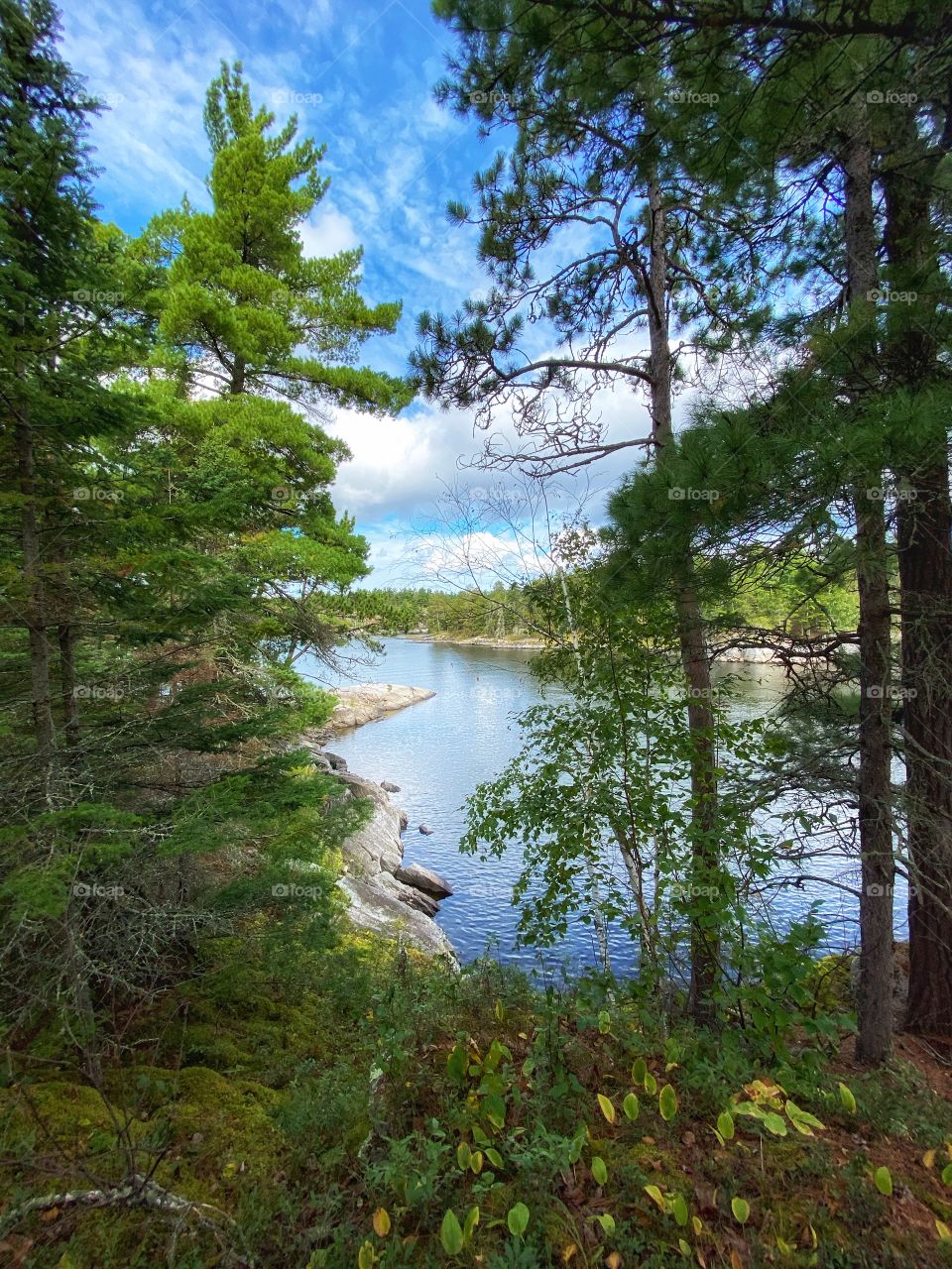 Lake scenery 