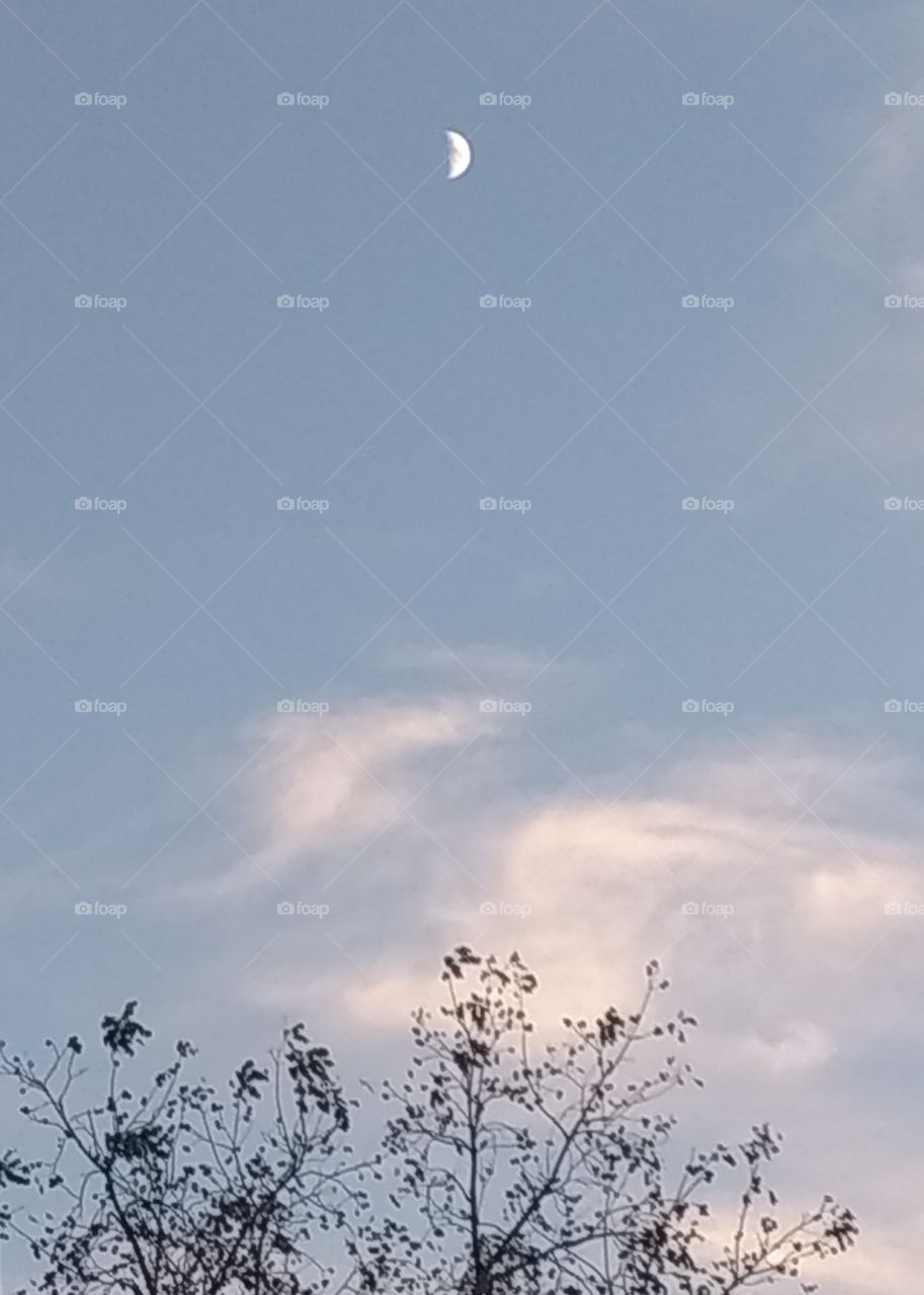 Sun lit Moon