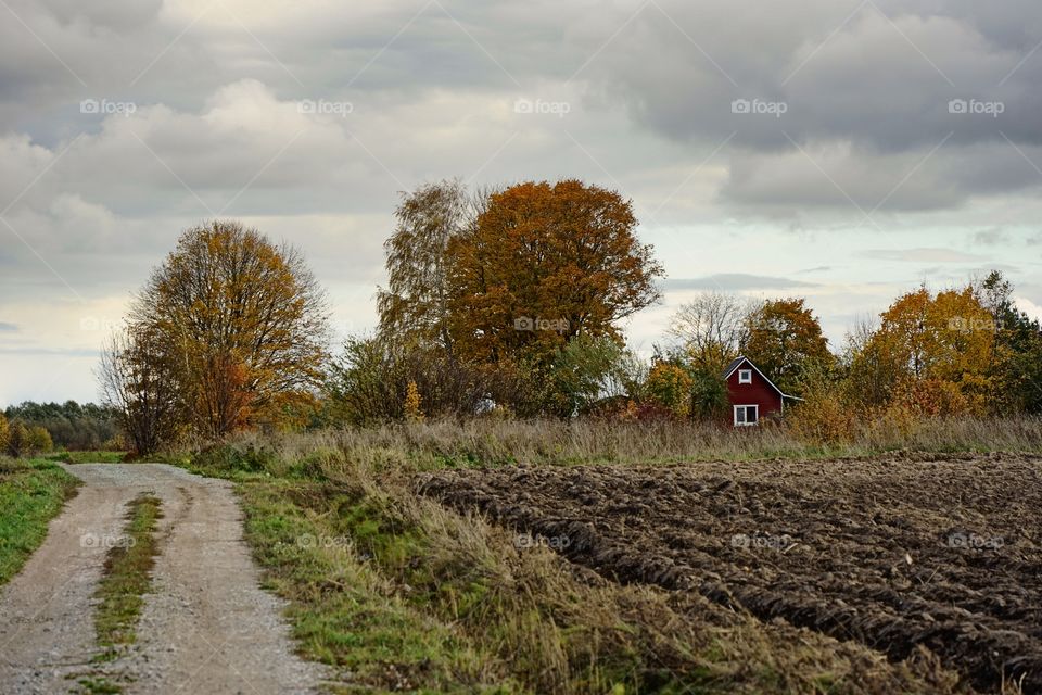 autumn landscape