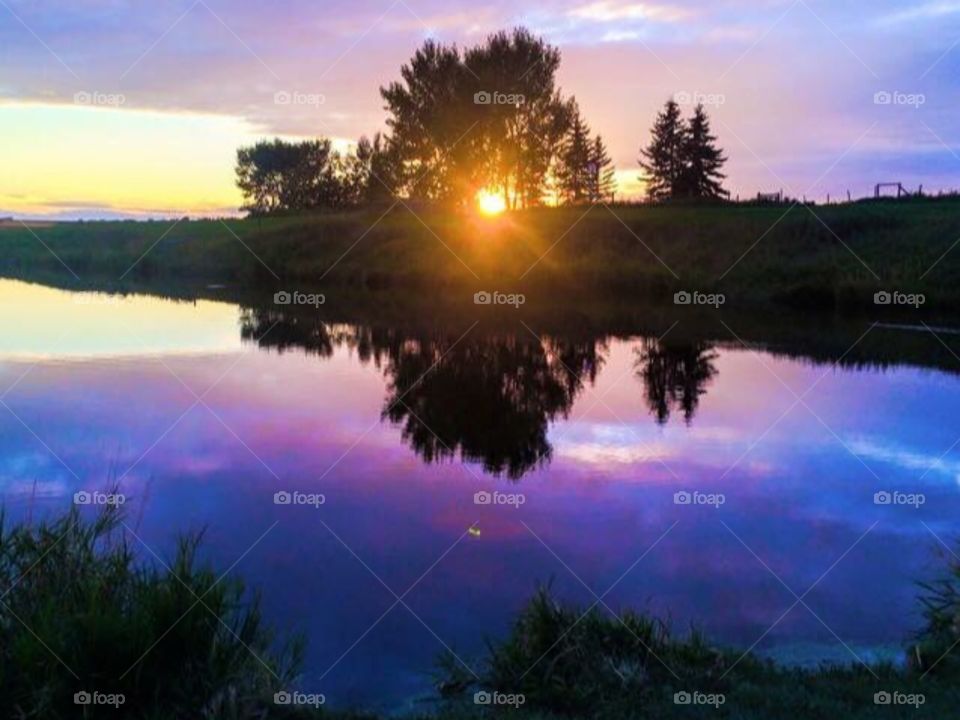 Fishing pond sunset 