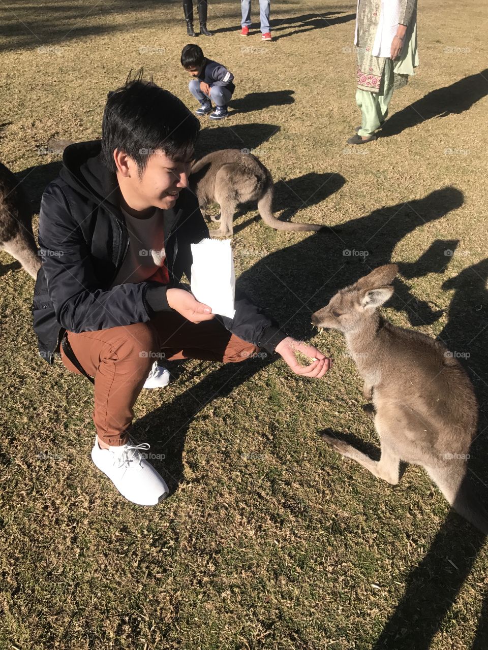 Feeding the Kangaroo 