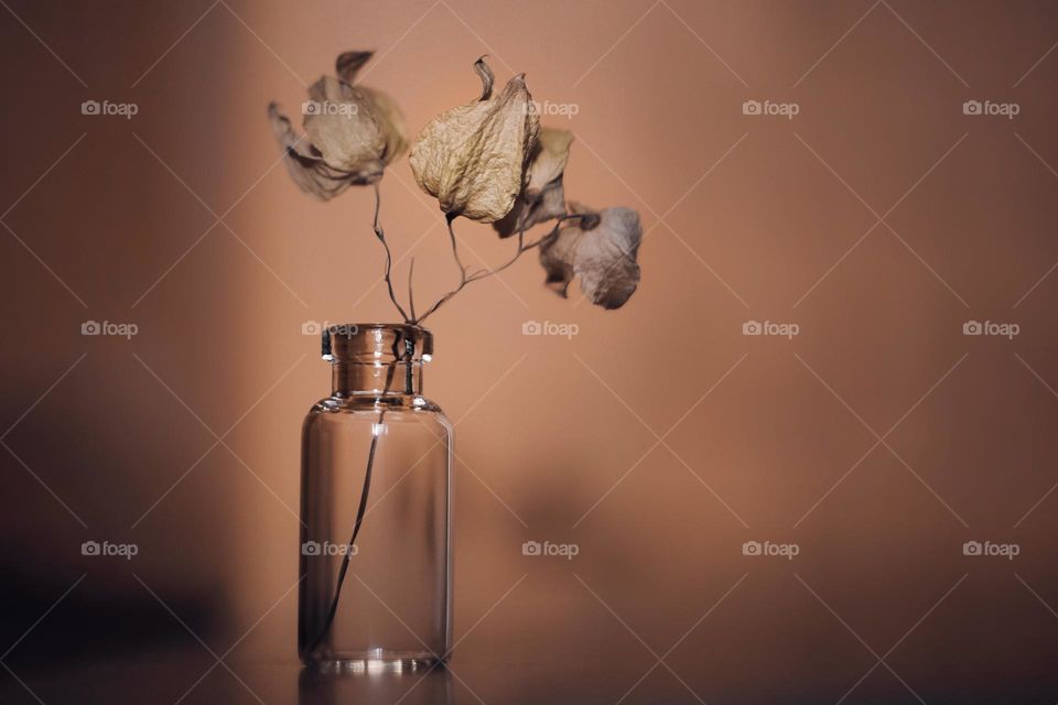 beige dried flowers in a glass bottle