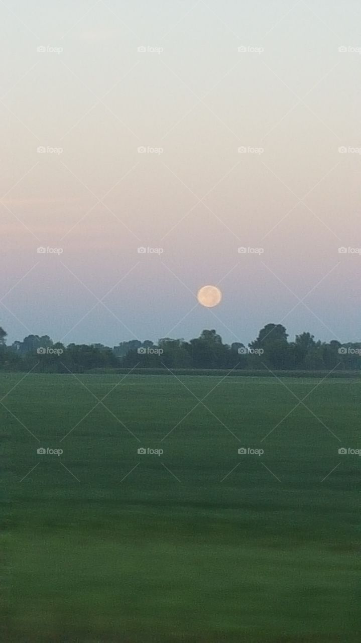 Landscape, Golf, No Person, Sky, Daylight