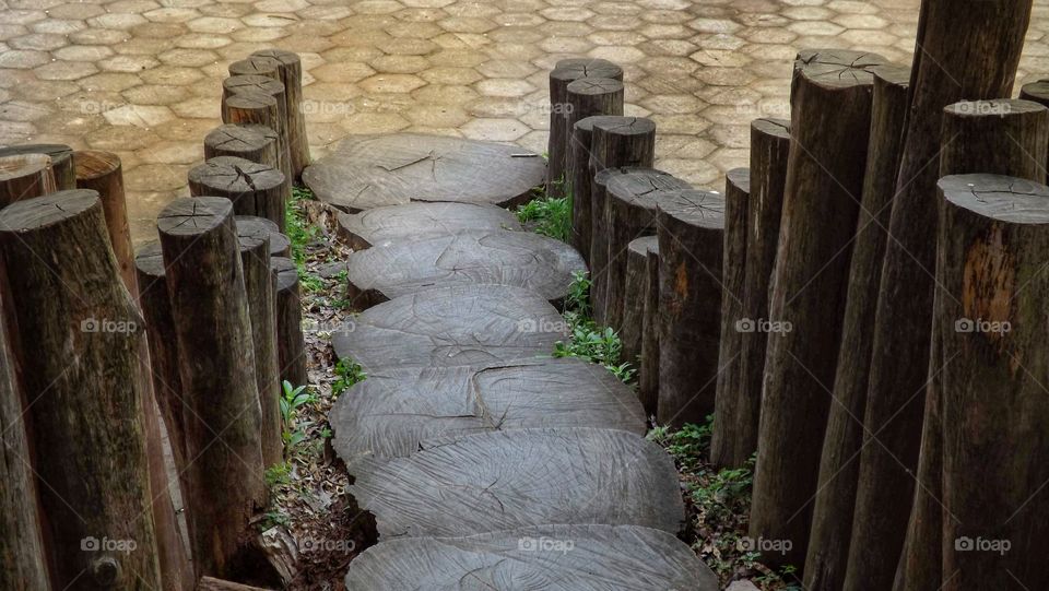 escada de troncos