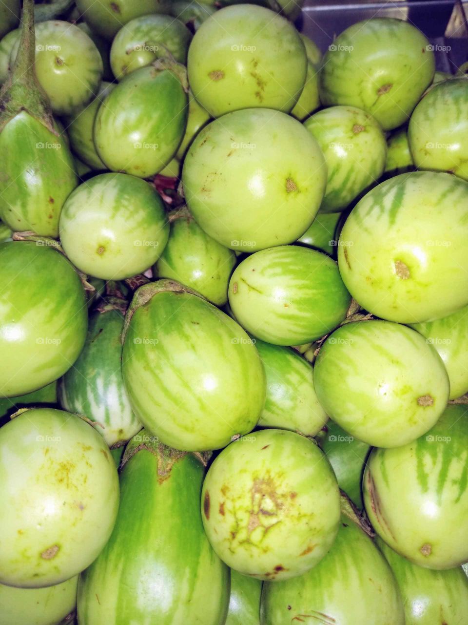 green brinjals