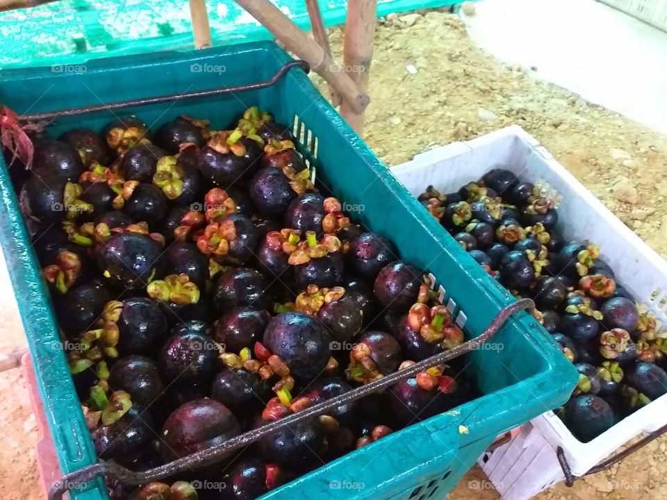 mangosteen. thai fruit queen.