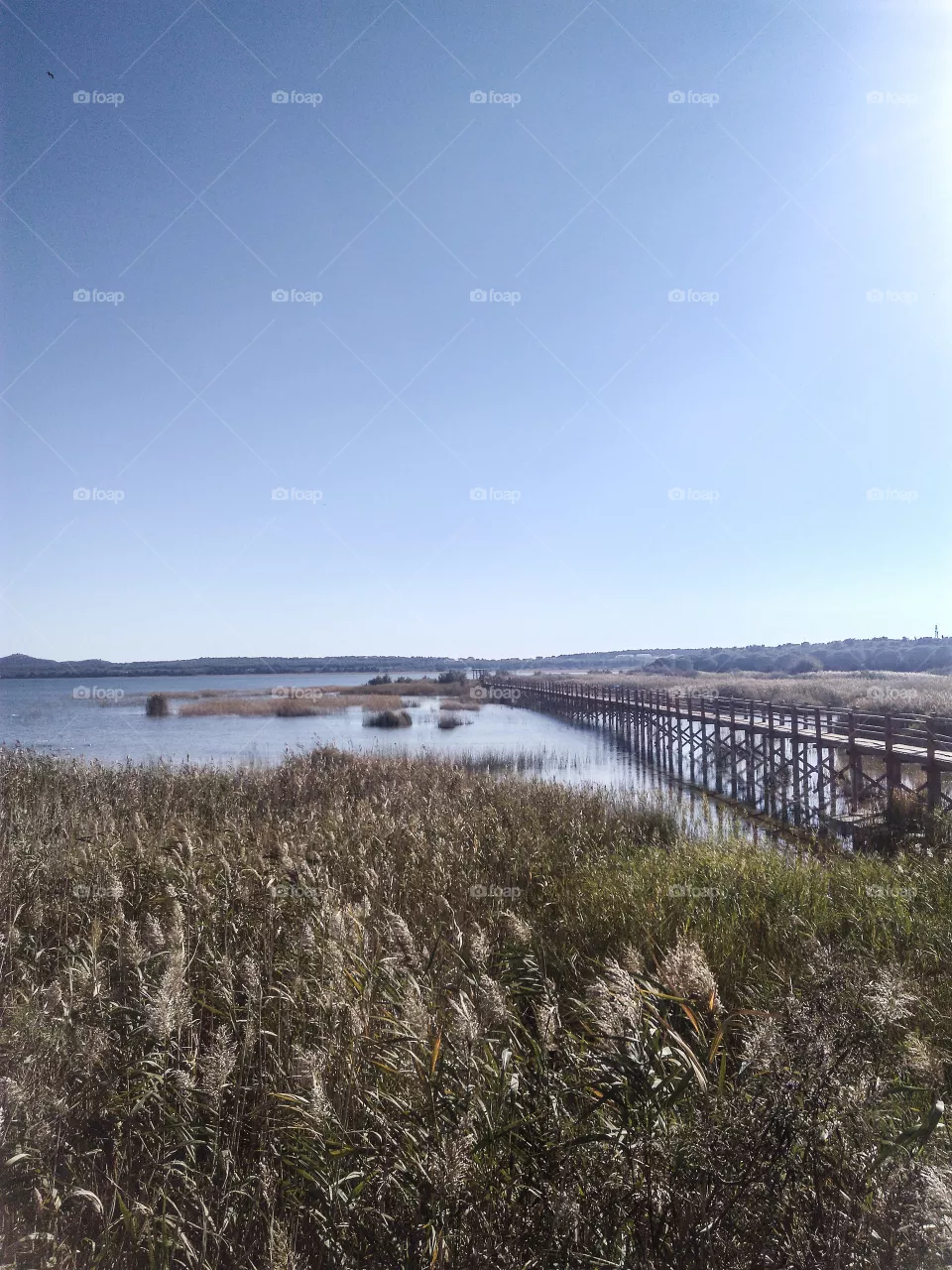 Lake