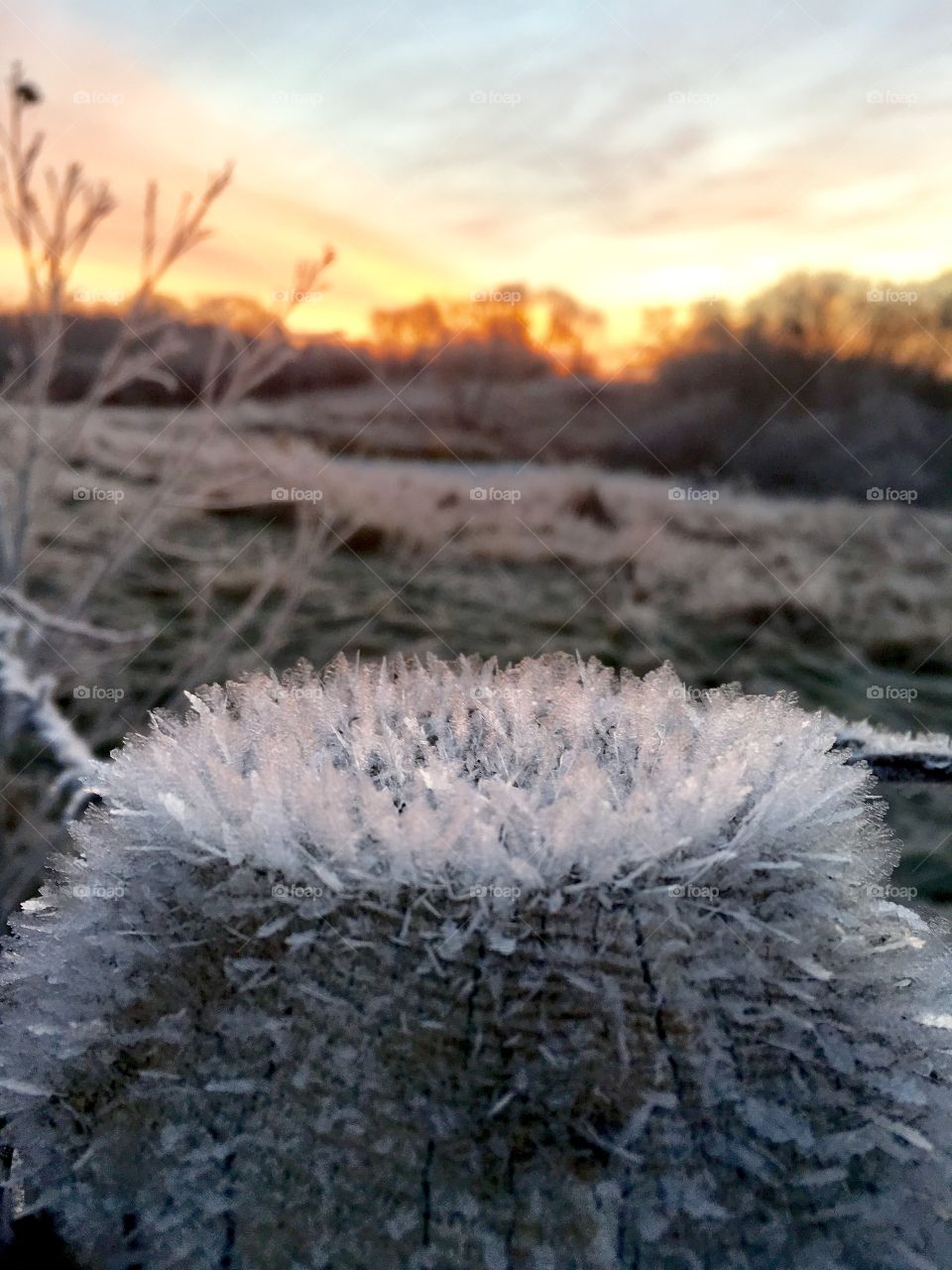 View in winter