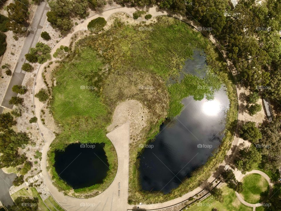 Circular pond within circles