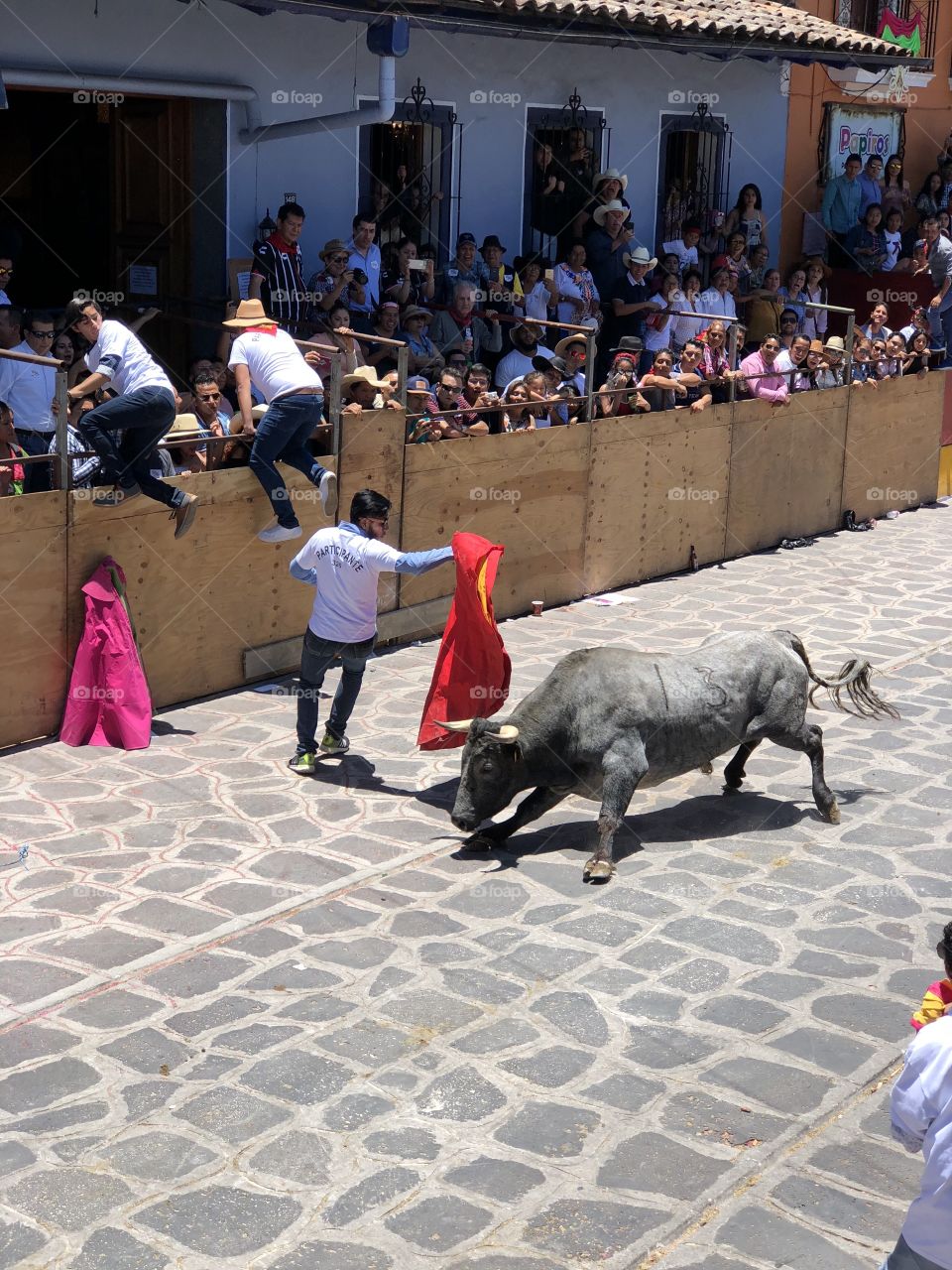 Close Call. In Xico, Veracruz Mexico they have a festival called the running with the bulls. Participants are given the chance to try to outrun and dodge the bull to entertain the thousands of spectators. 