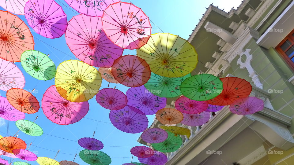 Chinese New year decoration