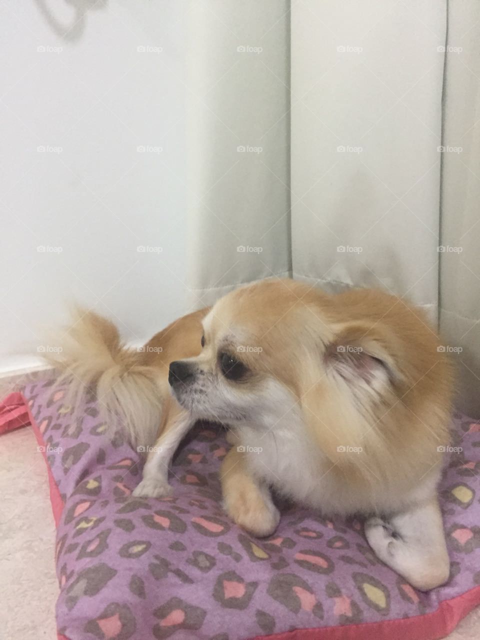 can you find someone cuter than him?