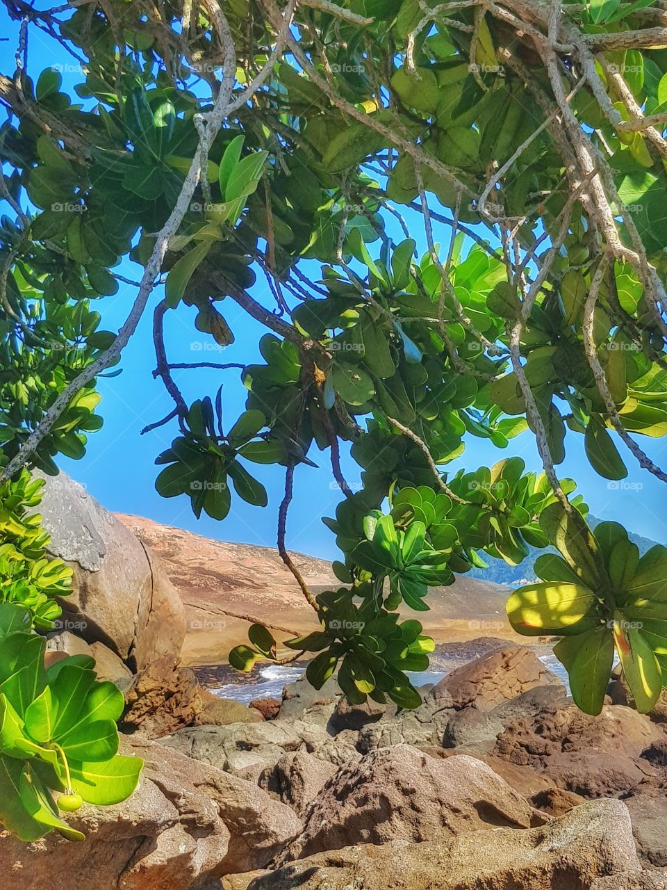 Natureza é paz, energia e contato com Deus