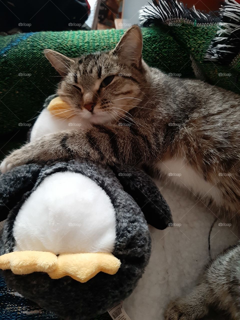 Была   ваша   игрушка,   а   стала   моя!