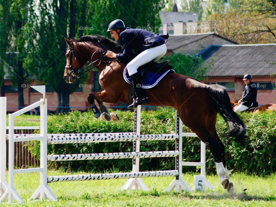 Rider jumping over hurdle during competition