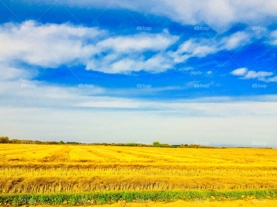 Brandon Manitoba prairie 
