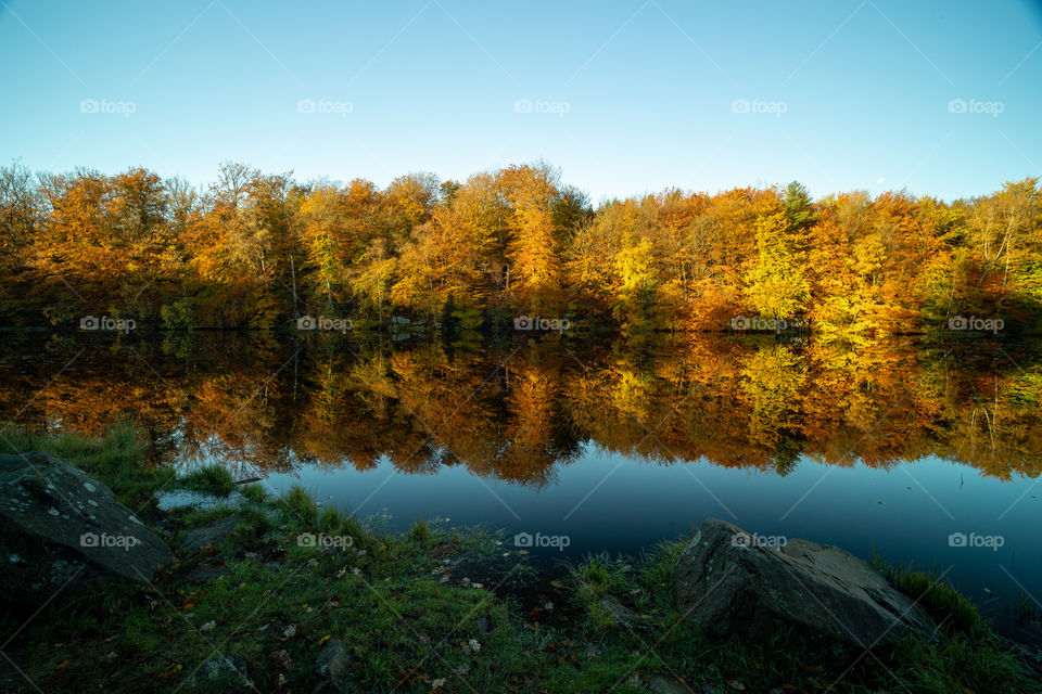 Autumn reflected