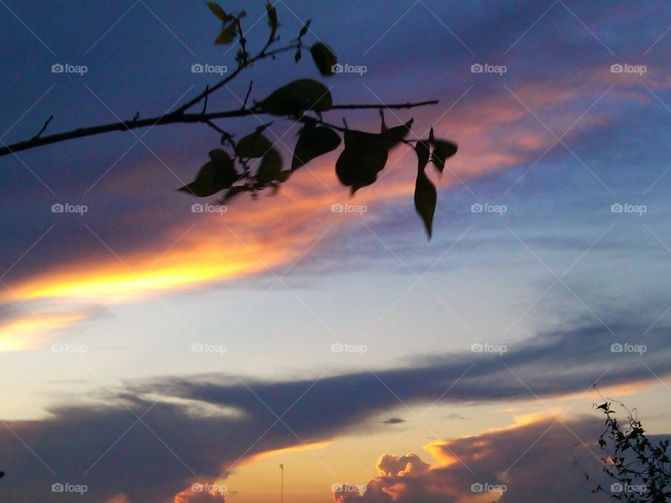 Another beautiful South Texas sunset. End of a wonderful day.