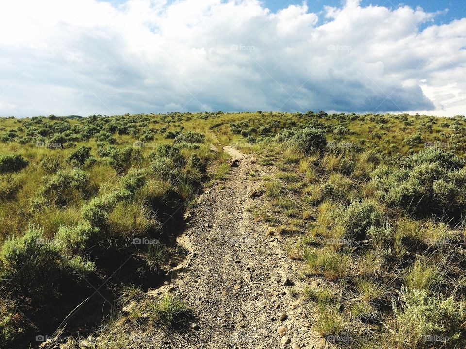 Scenic mountain hike! 