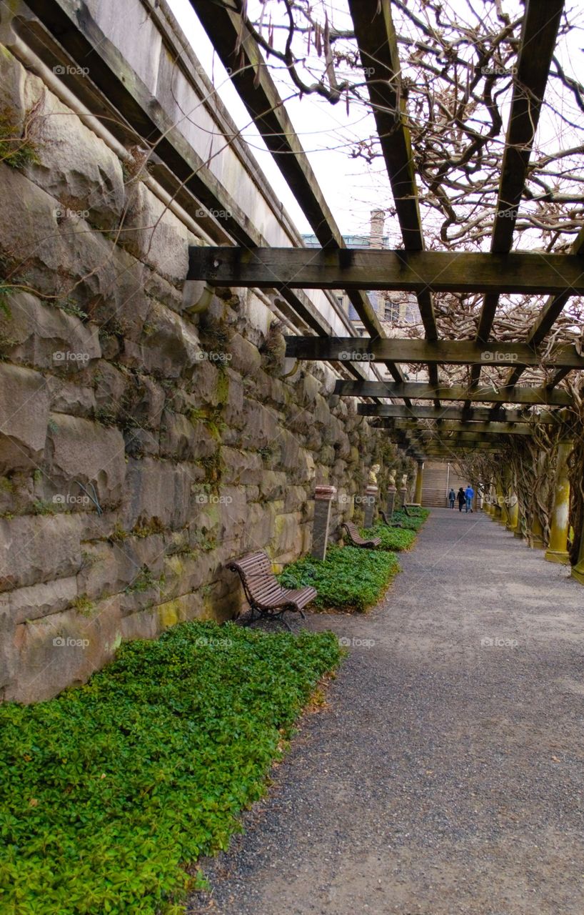 Trellis walk